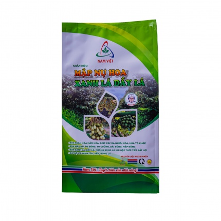 MẬP NỤ HOA - XANH LÁ - DẦY LÁ